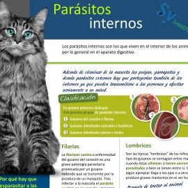 Parásitos internos