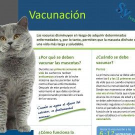 Vacunación